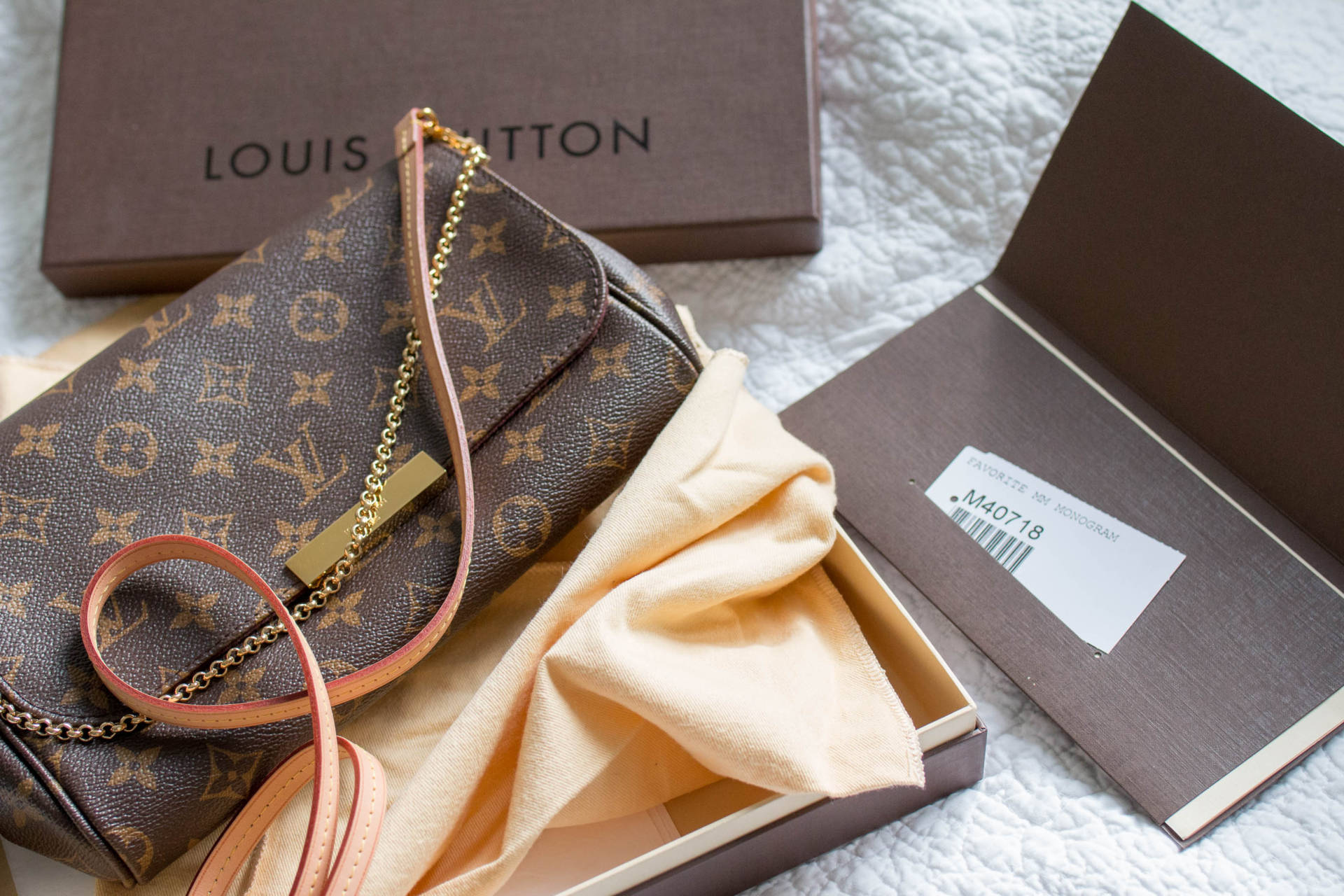 Louis Vuitton Favorite MM Monogram | heyyyjune.
